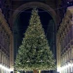 Albero di Natale Swarowsky Milano