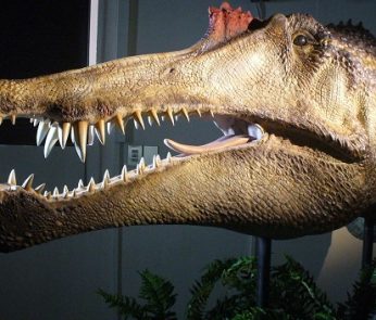 Spinosaurus-evento-MSNM-foto--Maganuco-3-cut