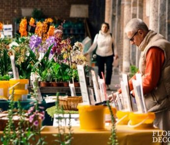 Flora et Decora 2016: a Sant'Ambrogio la mostra mercato di primavera
