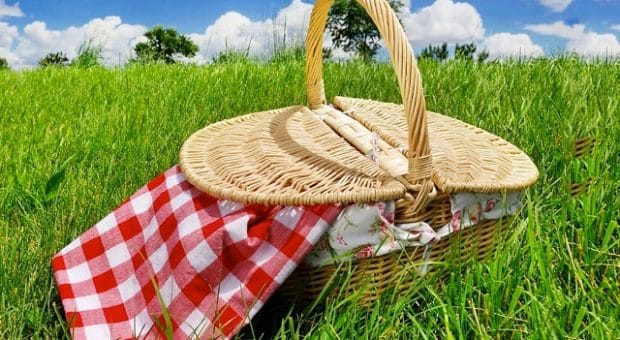 Cestino-del-picnic