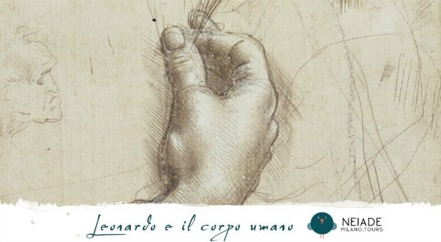 Leonardo da Vinci 2019