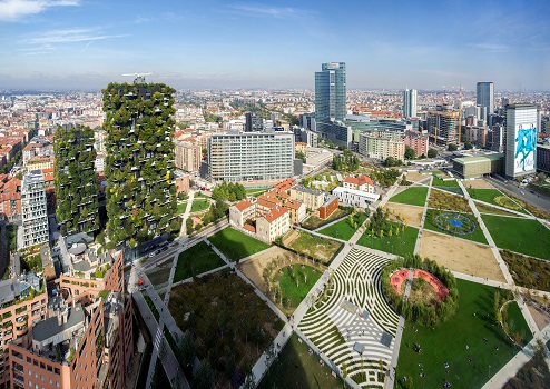 BAM-bosco-verticale