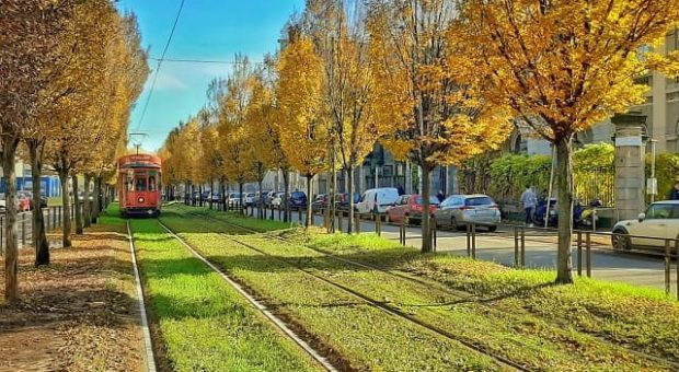 milano-tram-autunno-min